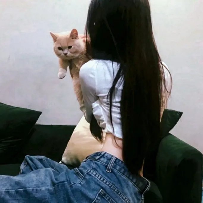 秋月